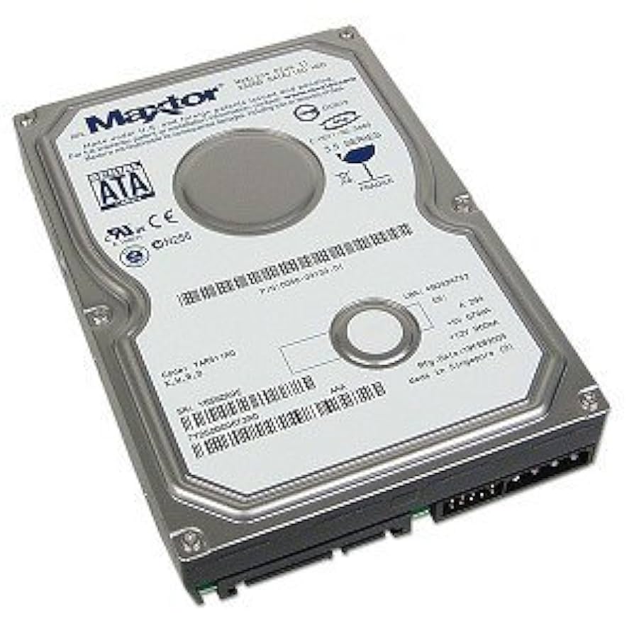 391335-004 Maxtor Disco Duro 250gb